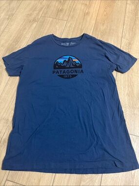Patagonia Blue Short Sleeve Logo Tee with Multicolor Mountain Graphic